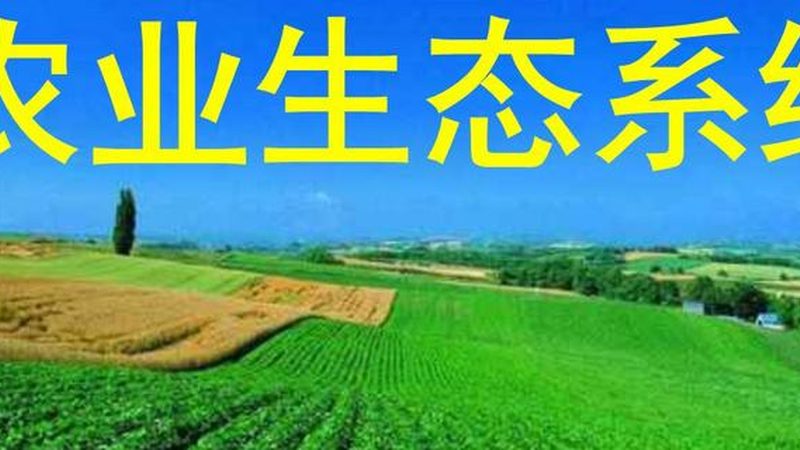 合作社代理记账公司哪家好