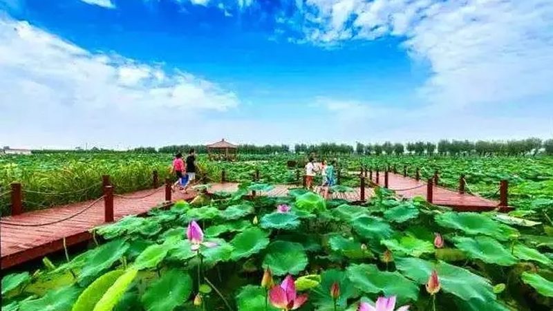 农业产业园入驻费用：揭秘入驻成本构成与影响因素**