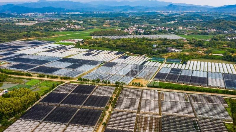 社区团购团长要关注库存管理，避免库存积压或断货。以下是一些建议：