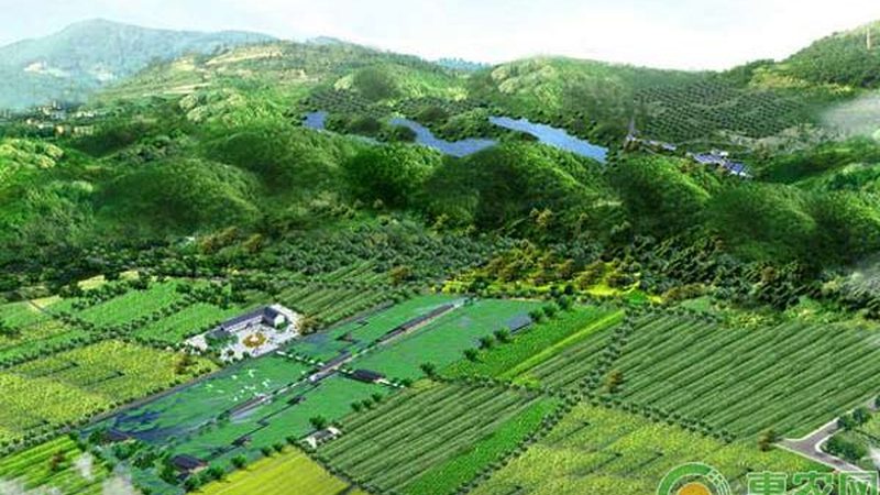 无土栽培与土培：两种种植方式的对比解析