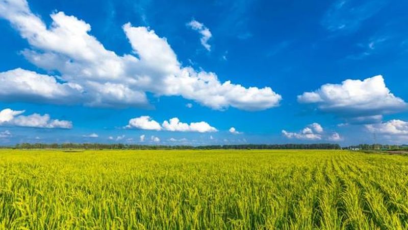 在选购无土栽培水果设备时，应关注以下性能指标：