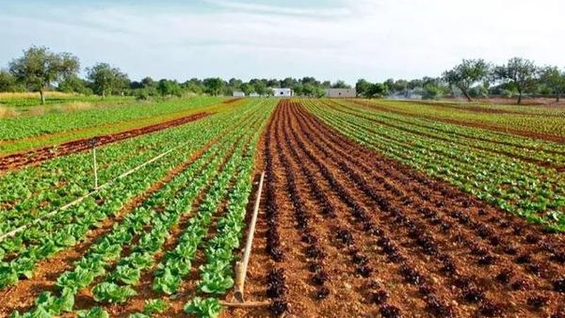 温室种植温度湿度参数设置方法