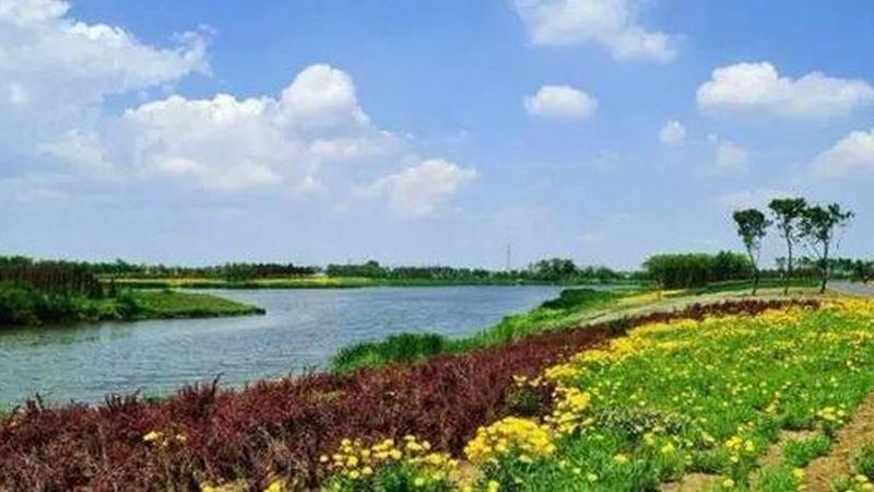 农资批发与零售发票开具：差异解析与合规要点