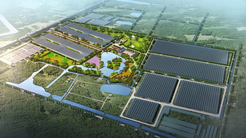 农产品产地直发：规格参数标准揭秘**