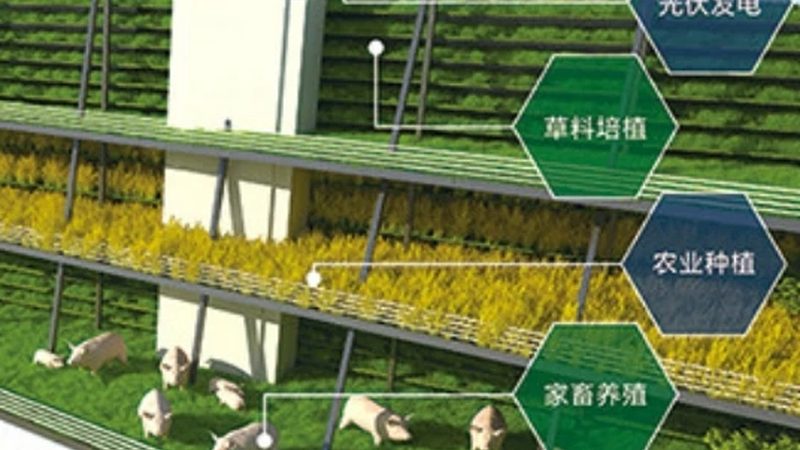 有机肥发酵设备：揭秘其价格与价值**