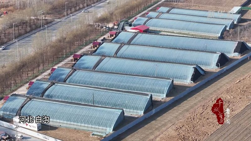 广东生态农业观光园承包价格，到底被什么卡住脖子