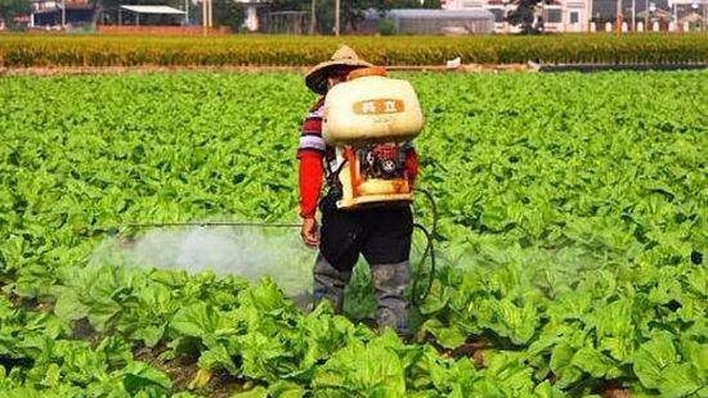 与传统农业生产方式相比，智慧农业种植系统具有以下优势：