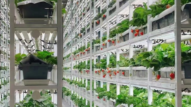 市场调研：找准目标市场
