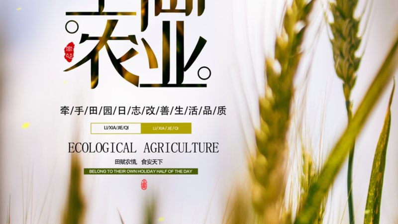 市级现代农业产业园建设，别只盯着“申报材料
